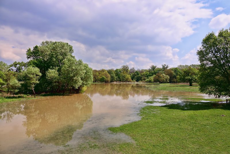 2019: A Year Of Dramatic Weather Events